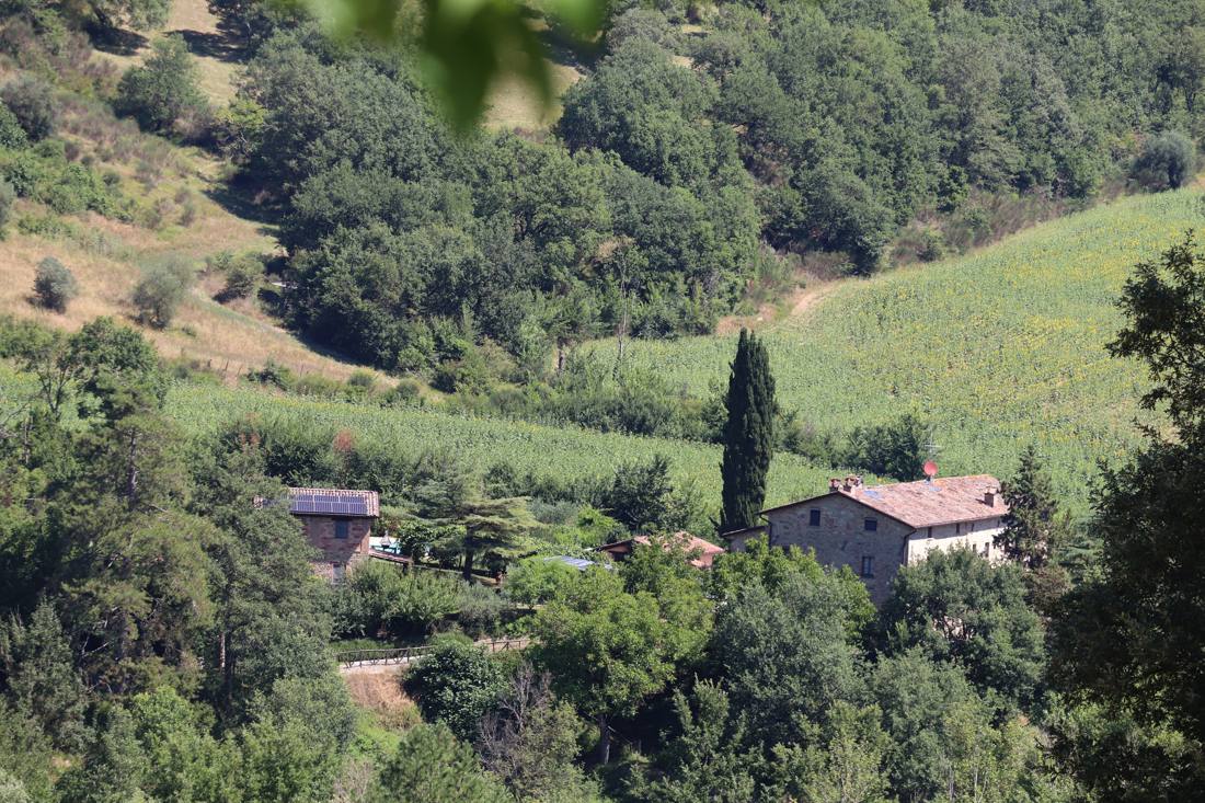 The casale nestled among the wooded hills, seen from across the valley